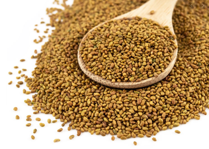 Alfalfa Seeds for a Healthy Body and Mind