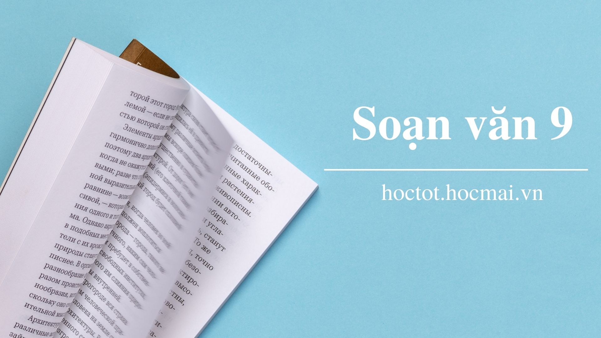 Soạn văn 9 | Chi tiết các tác phẩm văn học lớp 9 - HOCMAI