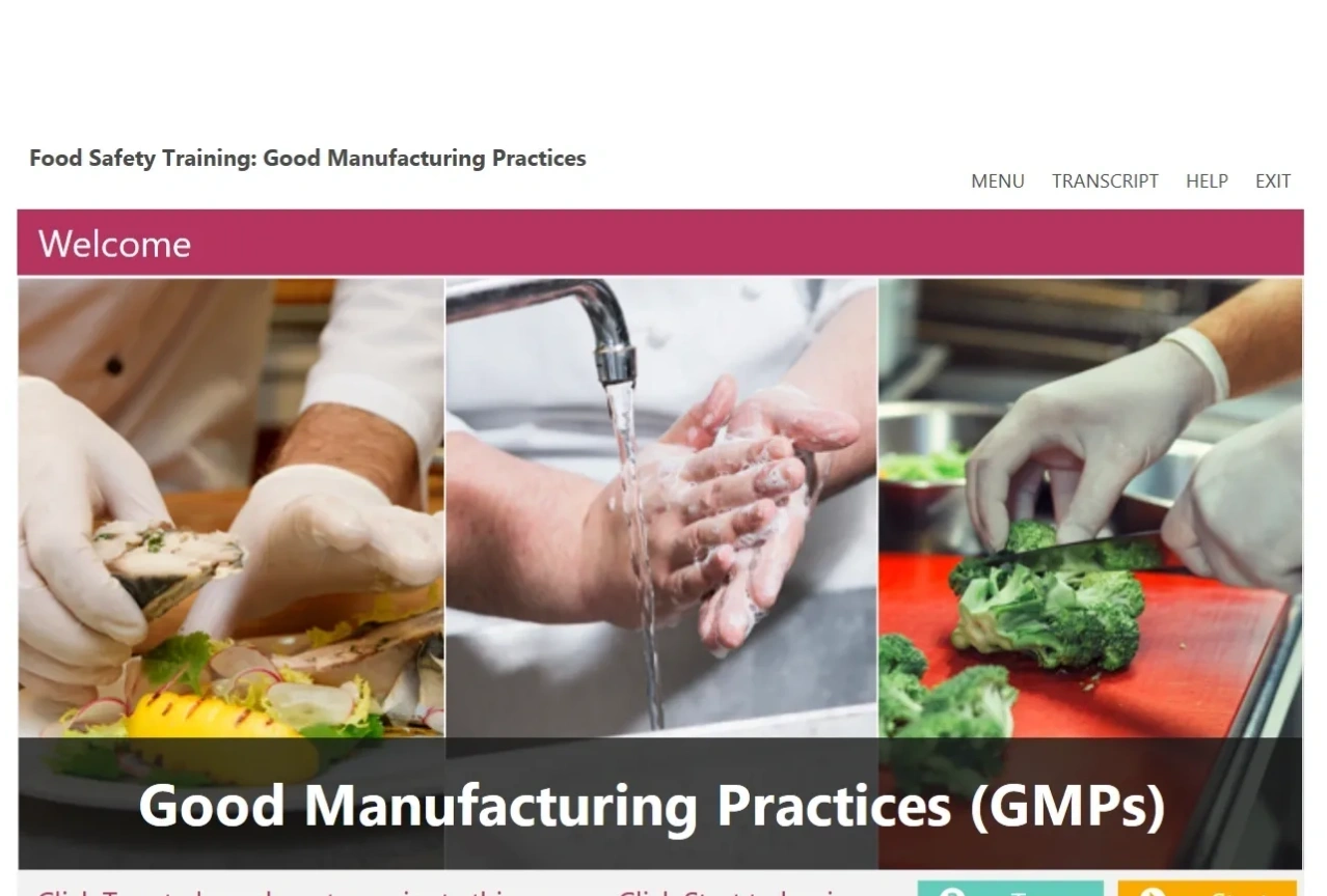 Food Safety Training And Certification