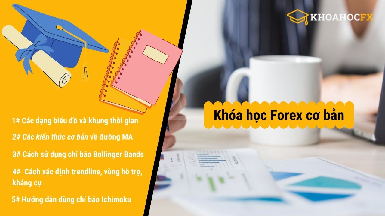 Khóa Học Forex Cơ Bản Dành Cho Trader Mới
