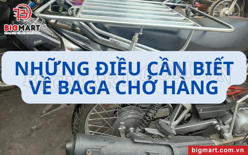 Baga chở hàng và những điều cần biết trước khi mua