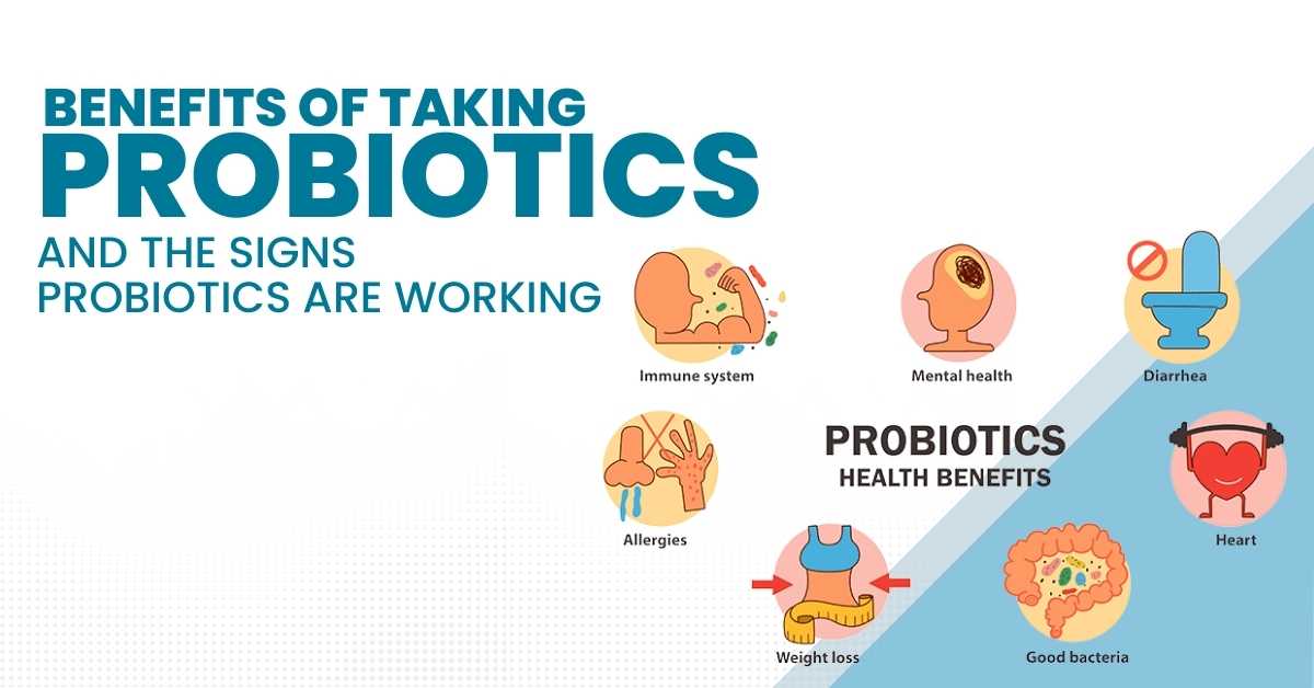 Benefits Of Taking Probiotics And The Signs Probiotics Are Working