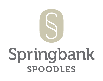 About Springbank Spoodles