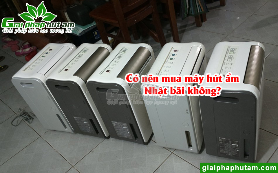 Có Nên Mua Máy Hút Ẩm Nhật Bãi Cho Gia Đình Không?