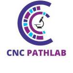 CNC pathlab