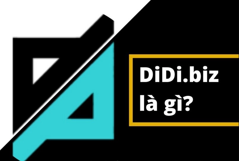 Didi Biz là gì? Sàn Didi Biz có lừa đảo nhà đầu tư không?