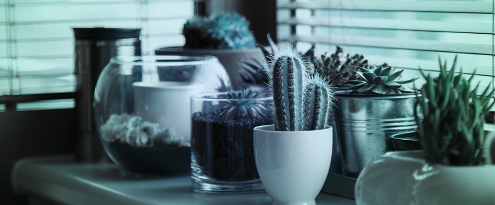 Lua chon thiet bi ho boi gia re can luu y dieu gi