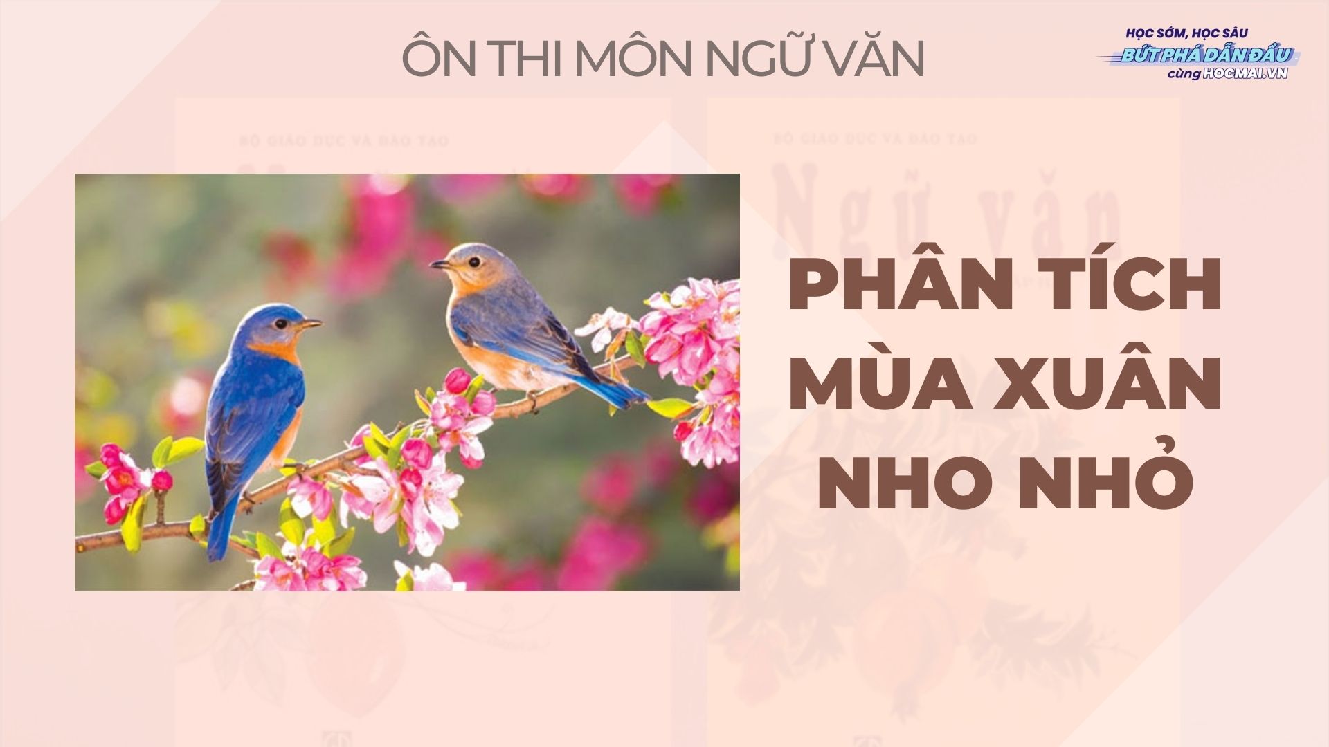 Phân tích bài thơ Mùa xuân nho nhỏ của tác giả Thanh Hải - HOCMAI