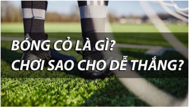 Bóng cỏ là gì? Cách săn bóng cỏ chắc thắng