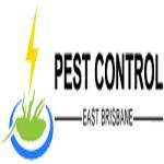 Ants Control East Brisbane