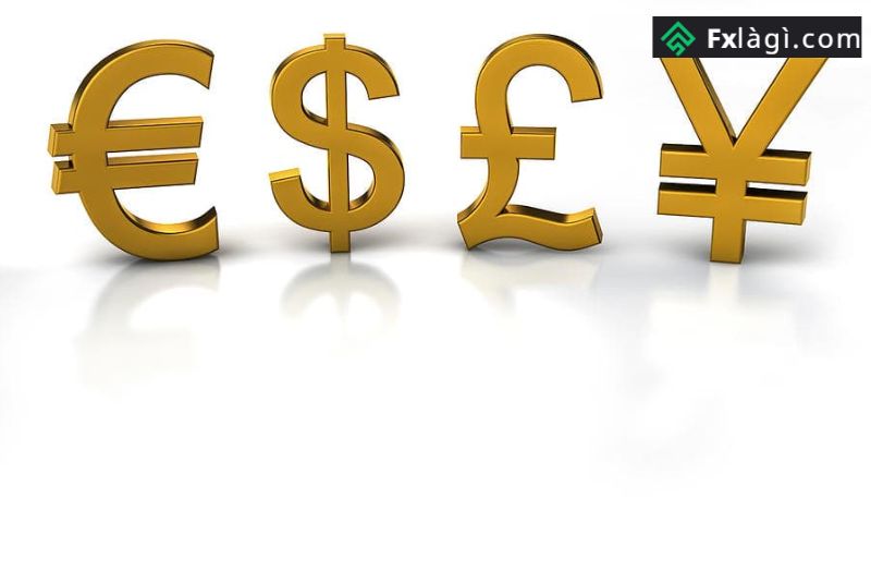 Tìm hiểu về tiền tệ và ký hiệu các cặp tiền trong Forex