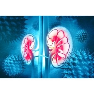 Everything You Need To Know About Albuminuria
