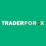 trader forexnet