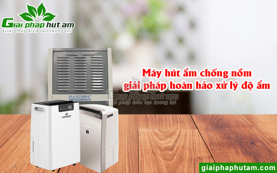 Máy Hút Ẩm Chống Nồm Giải Pháp Hiệu Quả Được Tin Dùng
