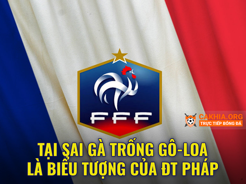 Vì sao Gà Trống Gô-loa là biểu tượng của ĐT Pháp - CaKhia.ORG