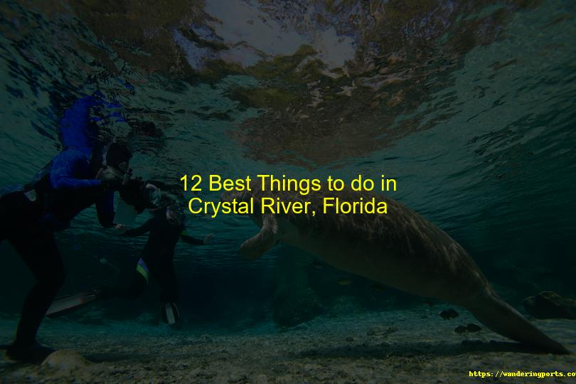 12 Best Things to do in Crystal River, Florida - Wanderingports