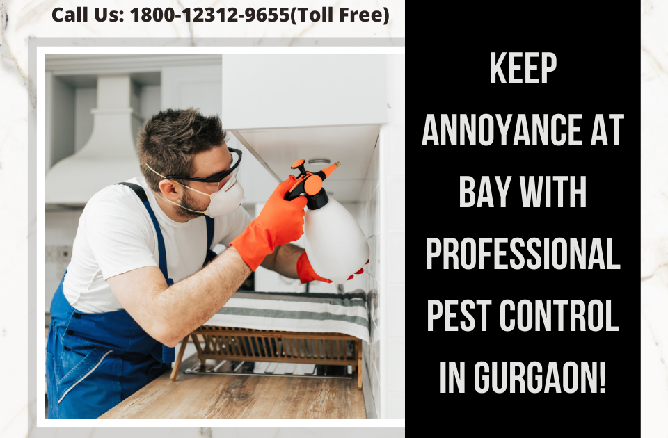 Keep annoyance at bay with professional pest control in Gurgaon!