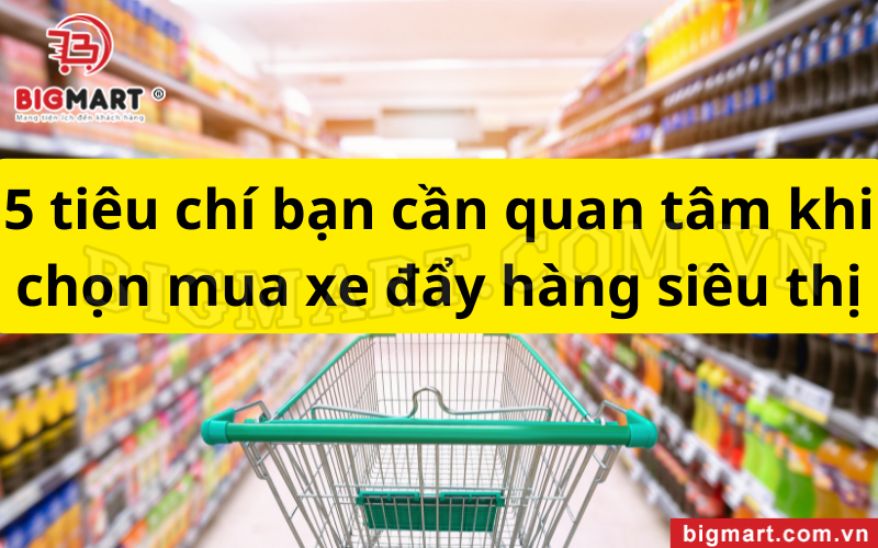 Top 5+ các dòng xe đẩy hàng siêu thị sử dụng phổ biến hiện nay