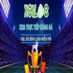 Kết Quả Bóng Đá XoilacTV