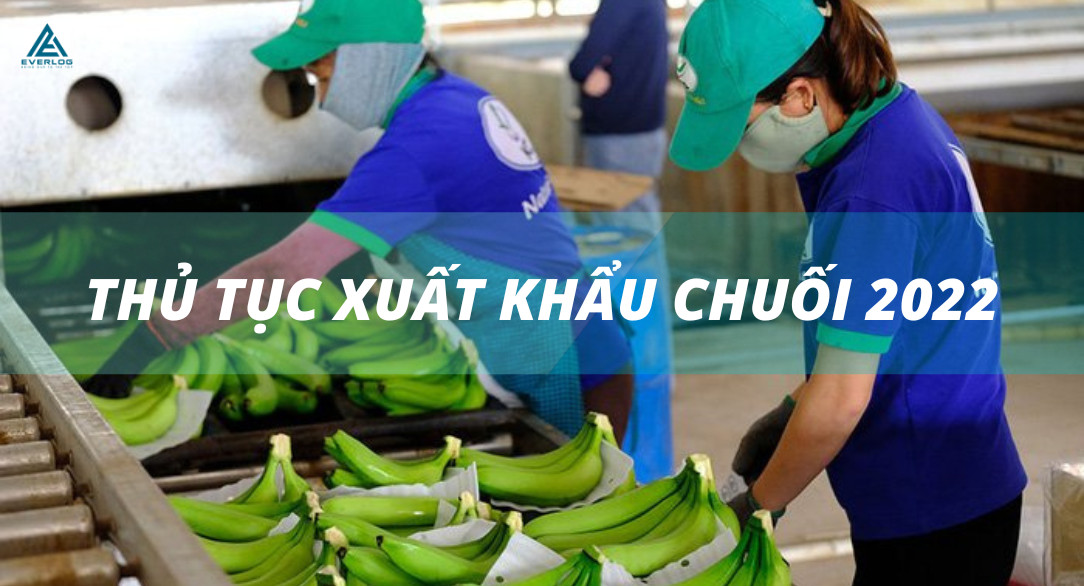 Thủ tục xuất khẩu chuối đi các nước trên thế giới