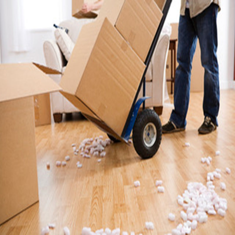 Packers and Movers in Vaishali Ghaziabad-Findmovers.in