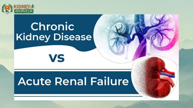 Chronic Kidney Disease vs. Acute Renal Failure