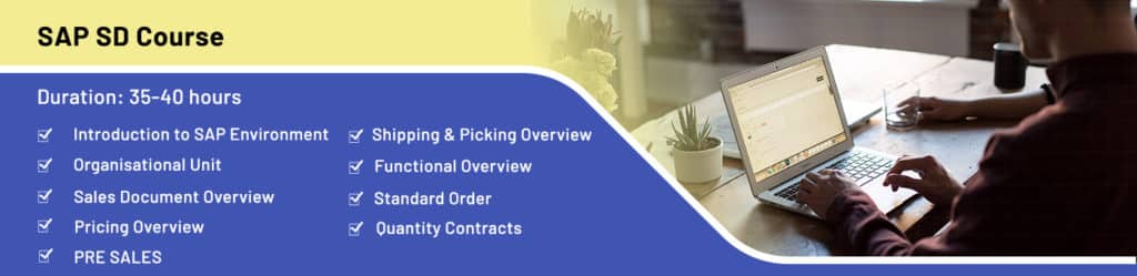 SAP SD Online Training in Mumbai - SAP SD Certification