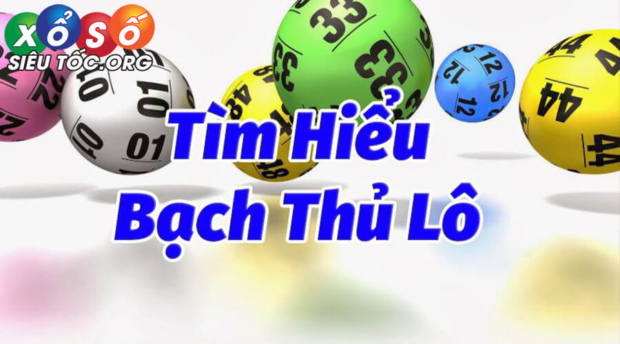 Nuôi Bạch Thủ Lô Khung 2 Ngày - Kinh nghiệm nuôi chuẩn nhất
