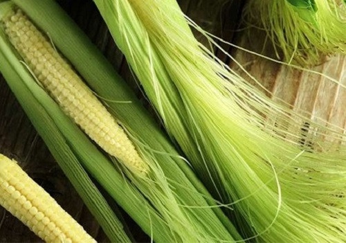 Bị tiểu rắt nên ăn uống gì để bệnh nhanh khỏi nhất?