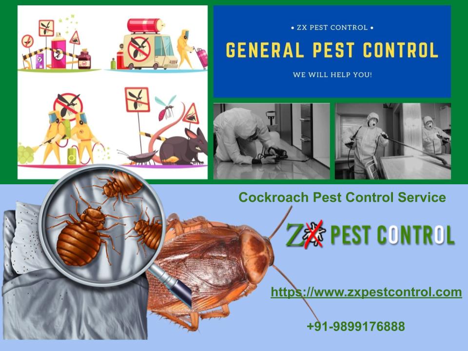 Why Do You Need Cockroach Pest Control Treatment at Home?