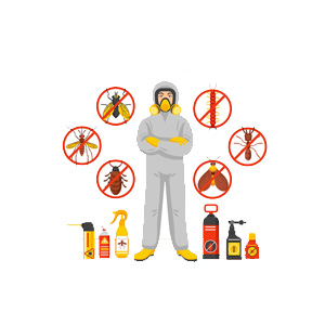 Pest Control in DLF Gurgaon | Termite, Cockroach, Bed Bugs Treatment