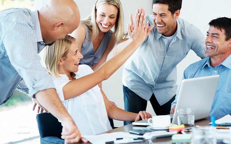 Đưa ra ví dụ về kỹ năng làm việc nhóm hiệu quả