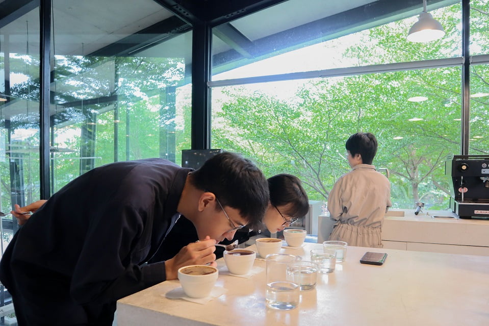 Tìm hiểu tổng quan về lịch sử của cupping cà phê