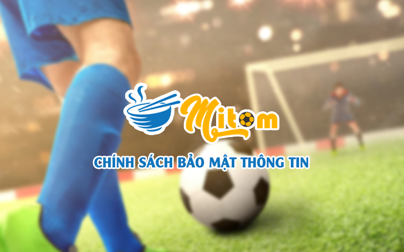 Chính Sách Bảo Mật thông tin tuyệt đối bảo vệ người dùng - Mitom TV