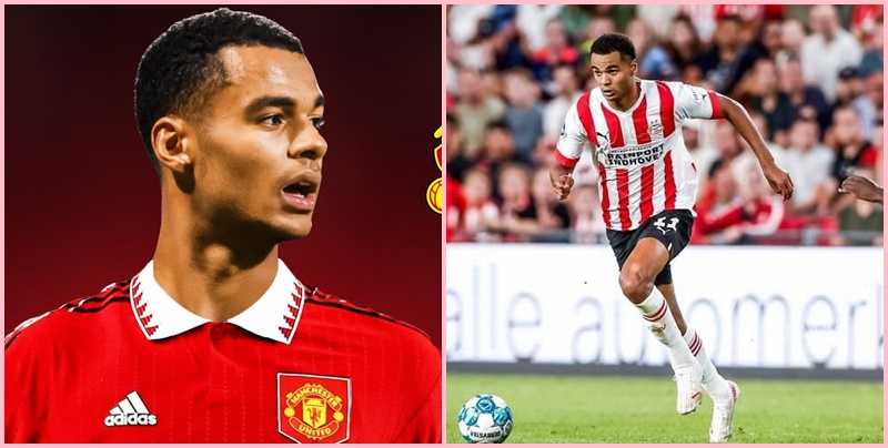 Tất tật nguyên nhân M.U muốn săn bằng được Cody Gakpo: Kẻ ám sát vòng cấm chất lừ của PSV