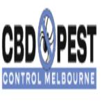 CBD Possum Removal Melbourne