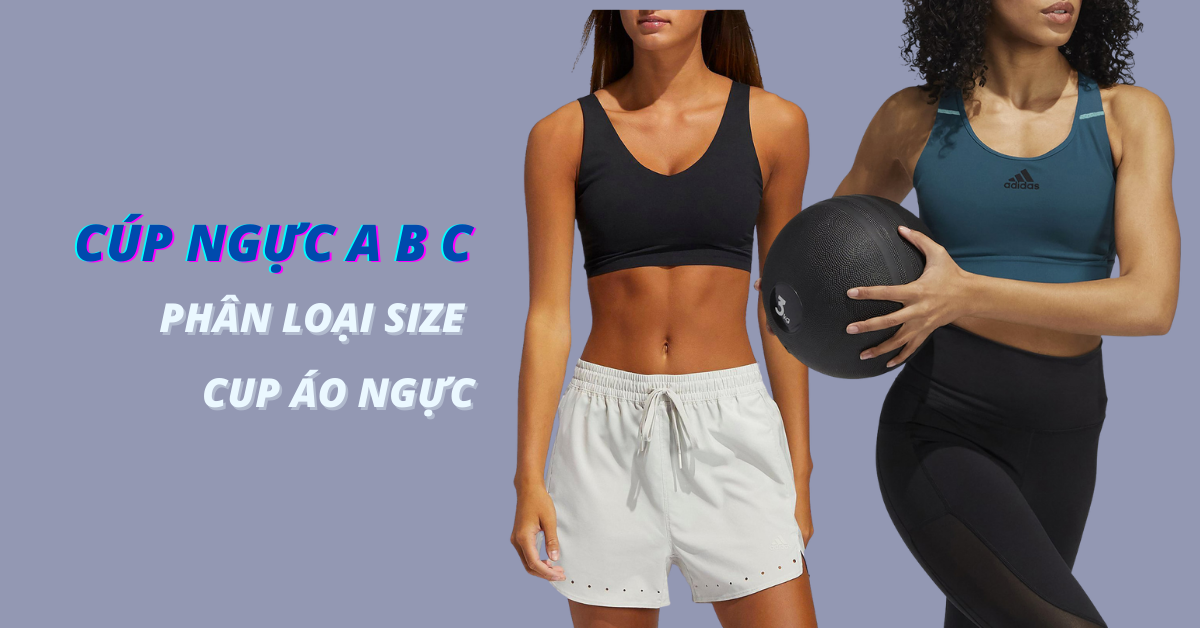 Cup ngực A B C là gì? Phân loại và cách đo size áo ngực chuẩn