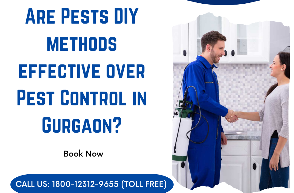 Are Pests DIY methods effective over Pest Control in Gurgaon?