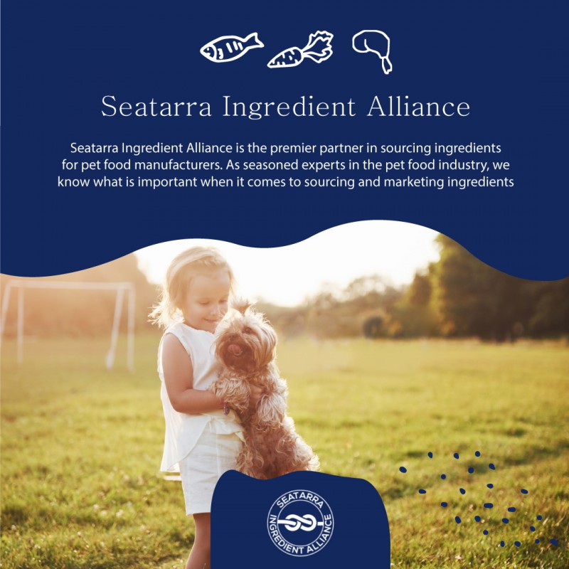 Reasons Fresh Dog Food is Healthier & Safer Option than Dry or Canned.: seatarraca — LiveJournal