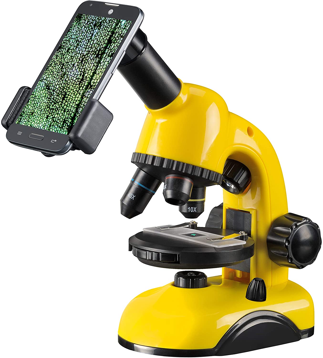 National Geographic 40X800 Microscope with Smartphone Viewer | Curiouskidzz