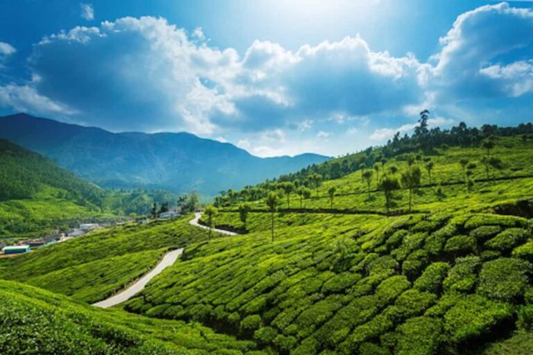 HILL STATIONS IN KERALA - WriteUpCafe.com