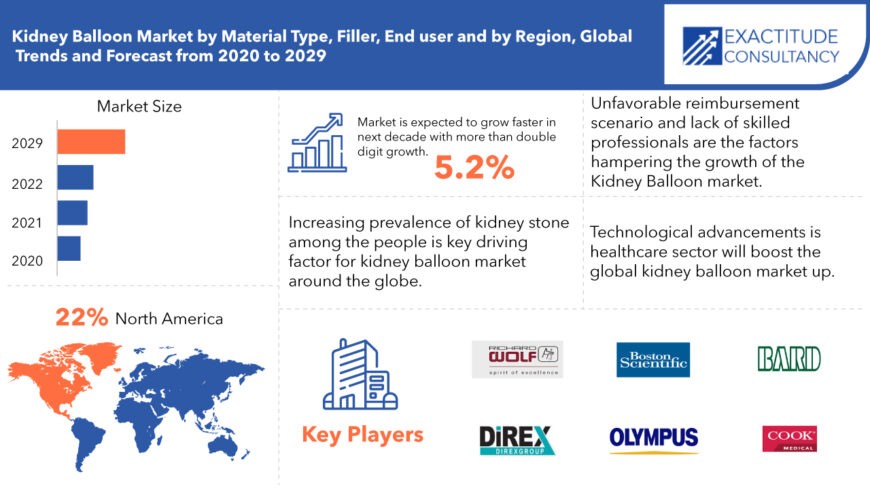 Kidney Balloon Market Emerging Trends, Technology and Forecast to 2029