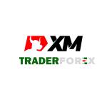 XM Traderforexnet