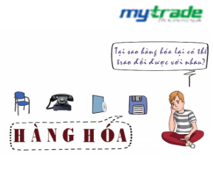 Giá trị của hàng hóa là gì? Giá trị sử dụng, trao đổi của hàng hóa