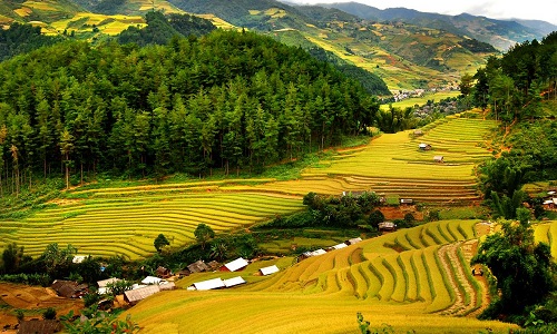 Vé Máy Bay từ Nha Trang, Cam Ranh đi Thanh Hóa Giá Rẻ - VietnamBooking