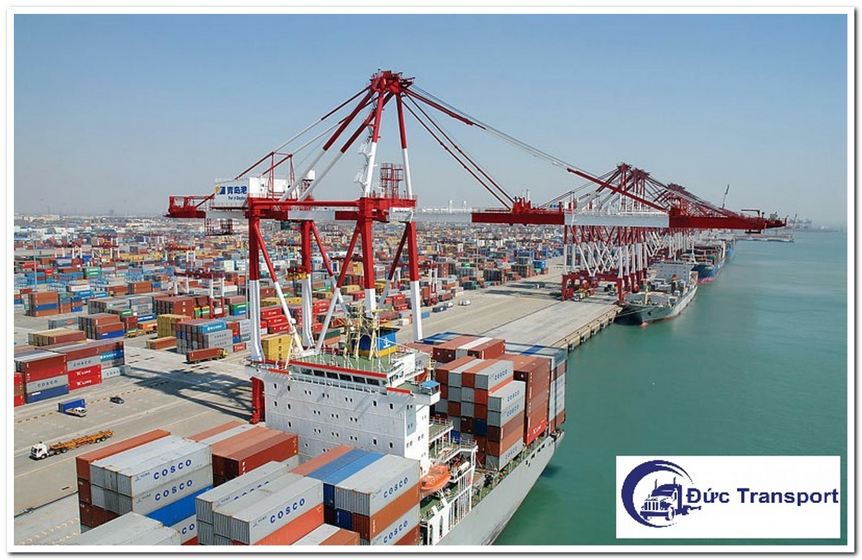 Vận Chuyển Đường Biển từ Thanh Đảo (Qingdao) về Việt Nam - Đức Transport