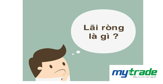 Lãi ròng là gì? Ý nghĩa và cách tính lãi ròng chính xác