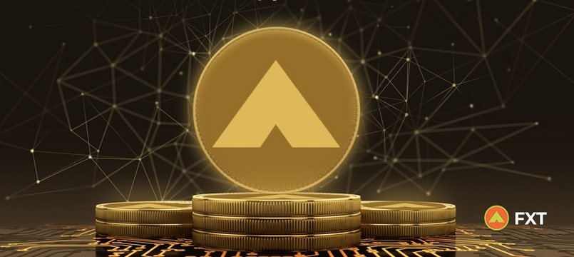 FXT Token là gì? Giá FXT Token ngày hôm nay