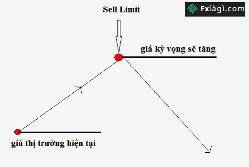 Lệnh Sell Limit Là Gì? Hướng Dẫn Cách Mở Lệnh Sell Limit