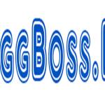 bigg boss16 Profile Picture